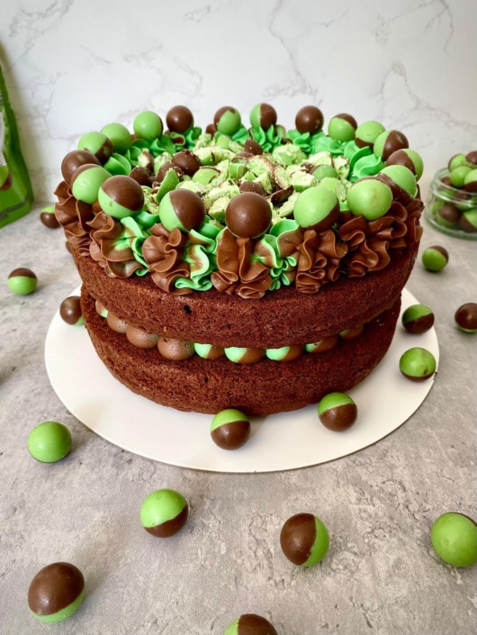 Mint Chocolate cake
